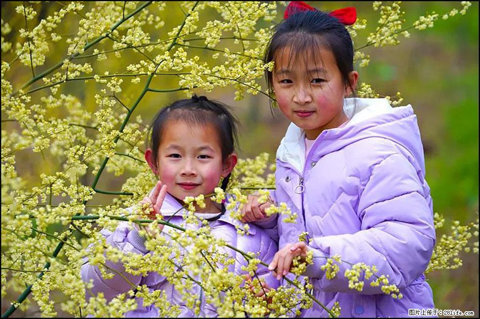 【春天，广西桂林灌阳县向您发出邀请！】米珠山前有片山苍子花在飘香 - 游山玩水 - 淮安生活社区 - 淮安28生活网 ha.28life.net