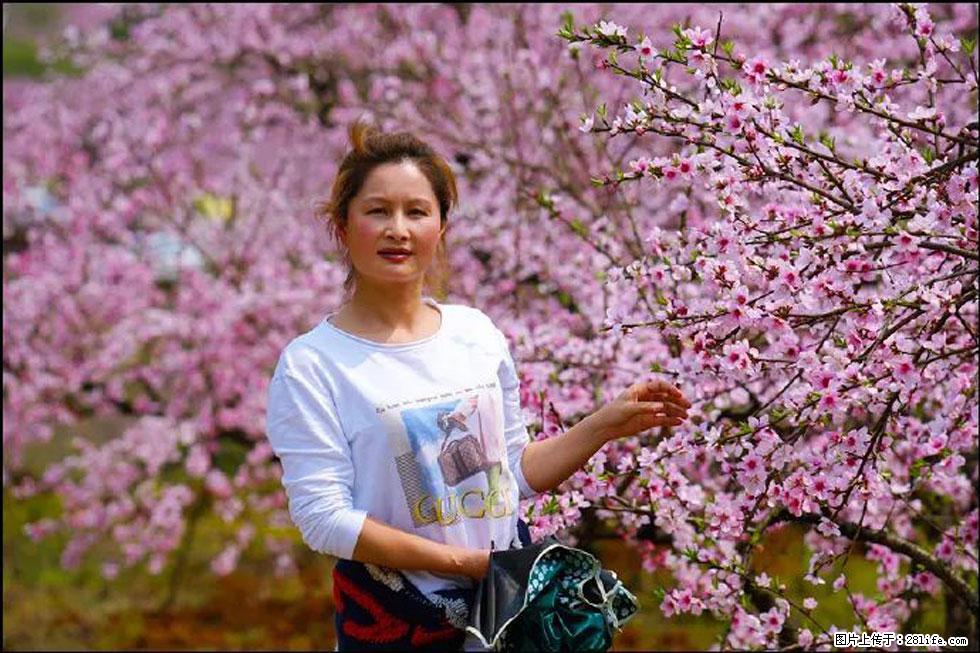 【春天，广西桂林灌阳县向您发出邀请！】官庄村有个醉美的桃花园 - 游山玩水 - 淮安生活社区 - 淮安28生活网 ha.28life.net