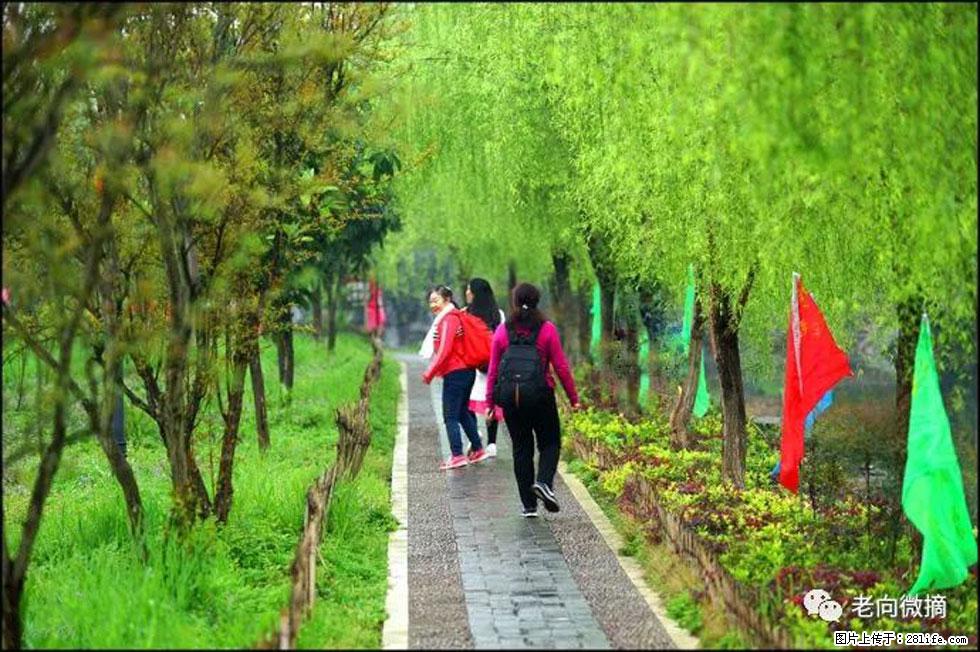 【春天，广西桂林灌阳县向您发出邀请！】江口老街又逢春 - 游山玩水 - 淮安生活社区 - 淮安28生活网 ha.28life.net