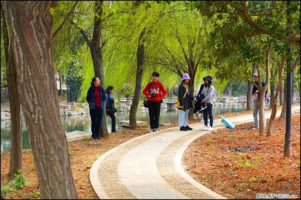 【春天，广西桂林灌阳县向您发出邀请！】江口老街又逢春 - 游山玩水 - 淮安生活社区 - 淮安28生活网 ha.28life.net