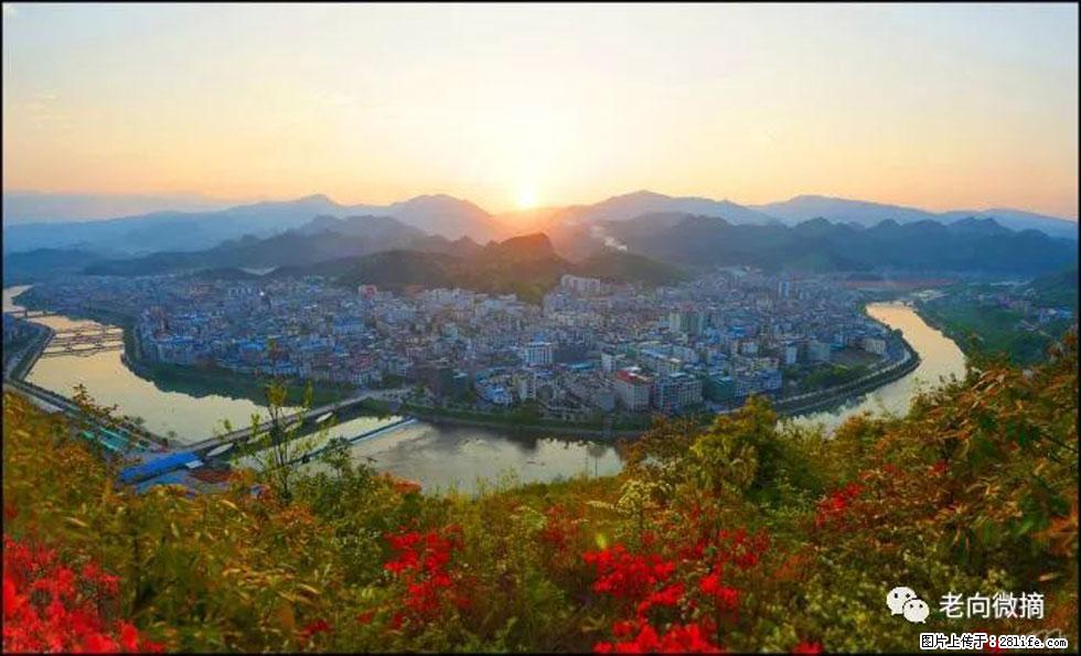 【春天，广西桂林灌阳县向您发出邀请！】登麒麟山，相约映山红 - 游山玩水 - 淮安生活社区 - 淮安28生活网 ha.28life.net