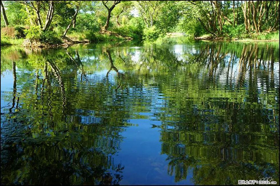 【春天，广西桂林灌阳县向您发出邀请！】熊家寨湿地公园 - 游山玩水 - 淮安生活社区 - 淮安28生活网 ha.28life.net
