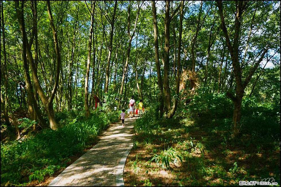 【春天，广西桂林灌阳县向您发出邀请！】熊家寨湿地公园 - 游山玩水 - 淮安生活社区 - 淮安28生活网 ha.28life.net