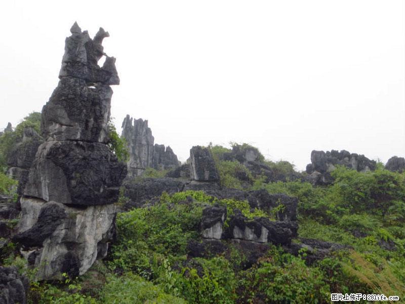桂林旅游名城景点：灌阳文市石林 - 游山玩水 - 淮安生活社区 - 淮安28生活网 ha.28life.net