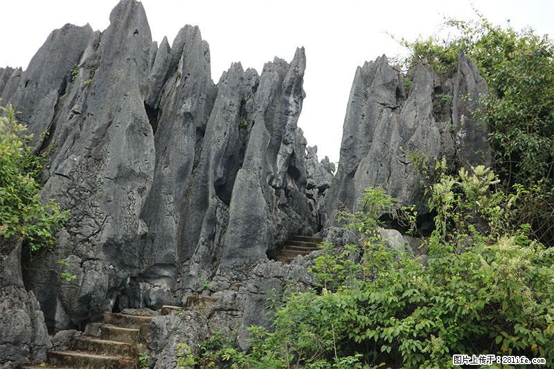 桂林旅游名城景点：灌阳文市石林 - 游山玩水 - 淮安生活社区 - 淮安28生活网 ha.28life.net
