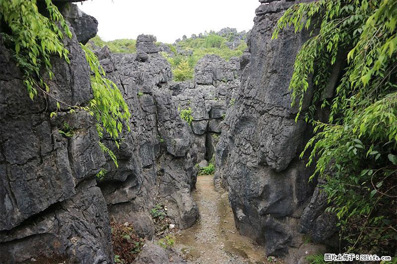 桂林旅游名城景点：灌阳文市石林 - 游山玩水 - 淮安生活社区 - 淮安28生活网 ha.28life.net