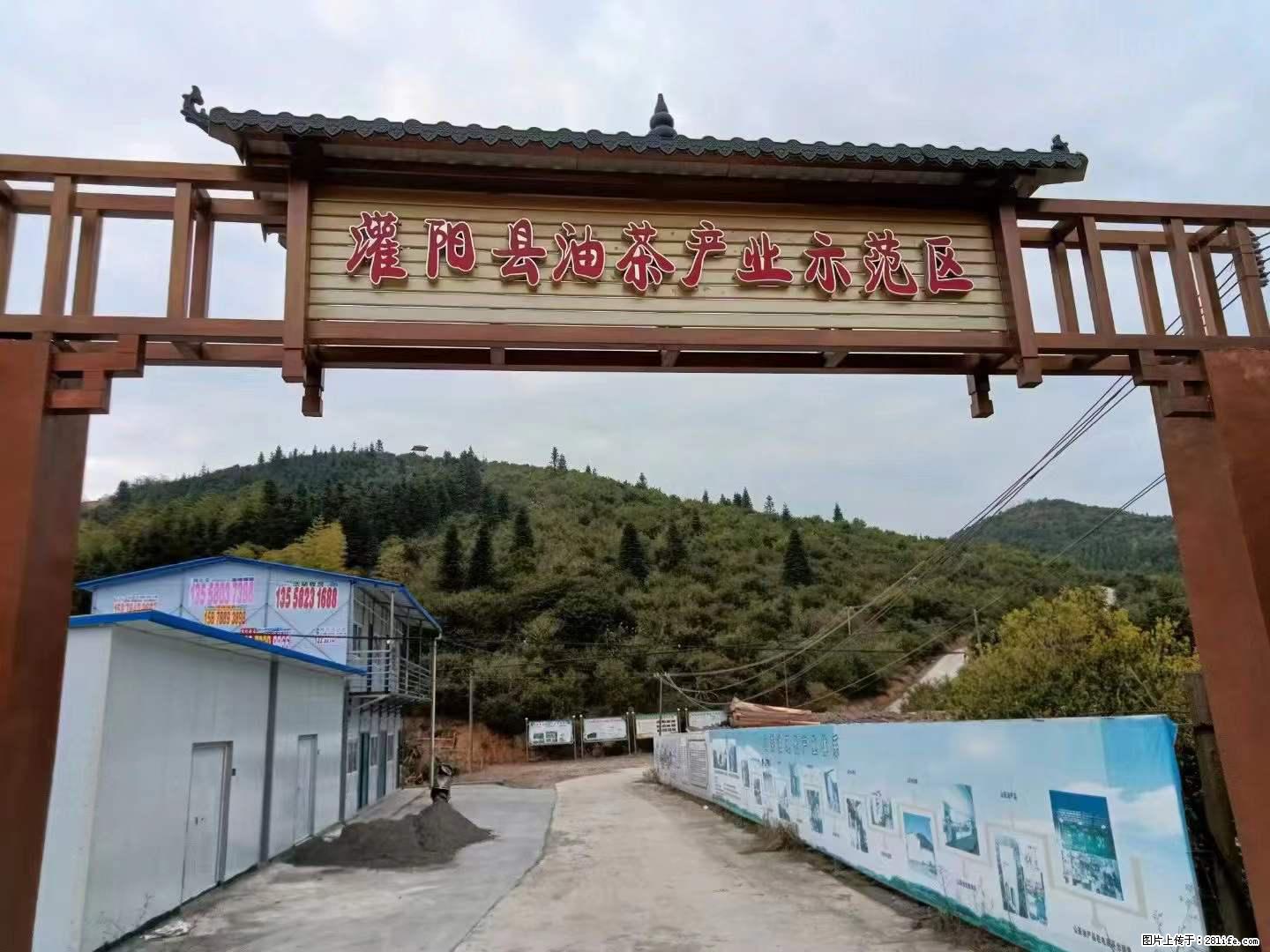 【灌阳县油茶产业示范区】一个有着充实的精神生活的人，对待身外之物自会有一种淡泊的态度 - 美食天地 - 淮安生活社区 - 淮安28生活网 ha.28life.net