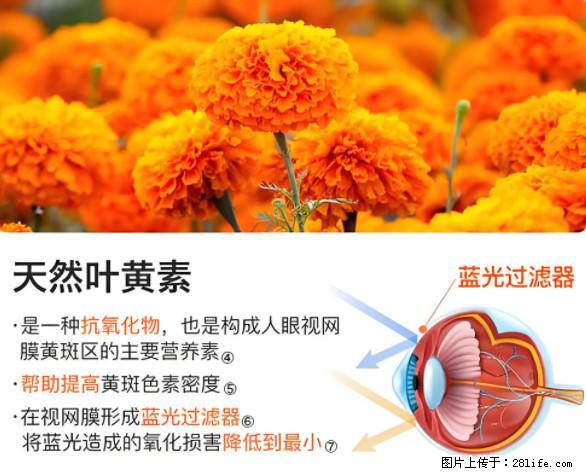 叶黄素有什么功效和作用 - 生活百科 - 淮安生活社区 - 淮安28生活网 ha.28life.net