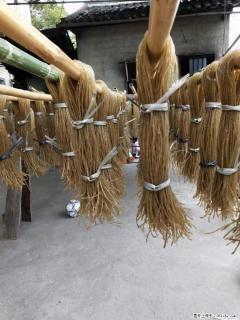 【灌阳正宗红薯粉】美女家里自己做的，干净卫生，假一赔十，价格合理，抢购电话：13737312895 - 淮安28生活网 ha.28life.net