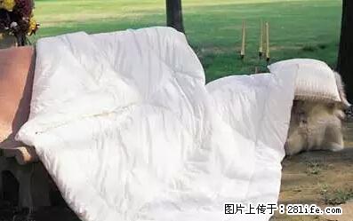被子有异味？只要这样做，比晒太阳还强100倍！ - 家居生活 - 淮安生活社区 - 淮安28生活网 ha.28life.net