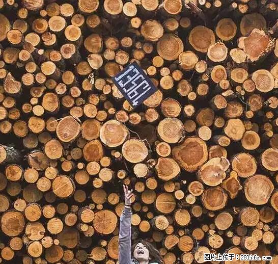 辞掉工作周游世界？现在他们在洗厕所…… - 游山玩水 - 淮安生活社区 - 淮安28生活网 ha.28life.net