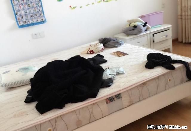 香格里拉四期两室欧式装修设施齐全看房方便欧式床拎包就住 - 房屋出租 - 房屋租售 - 淮安分类信息 - 淮安28生活网 ha.28life.net
