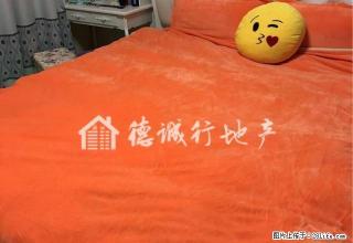 德诚行 专业租房一一深圳路大润发旁 尚东国际 精装入住爱干净 - 淮安28生活网 ha.28life.net