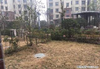 中南隔壁香槟国际花式洋房复式三层，长期对外出租可做仓库外卖办 - 淮安28生活网 ha.28life.net