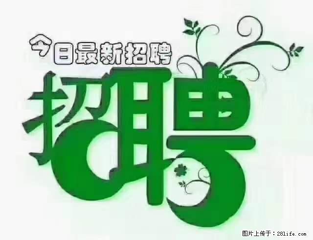 【招聘摄像师】待遇：试用期6000元/月，转正7000元/月+五险一金+餐补+节日福利+奖金 - 其他招聘信息 - 招聘求职 - 淮安分类信息 - 淮安28生活网 ha.28life.net