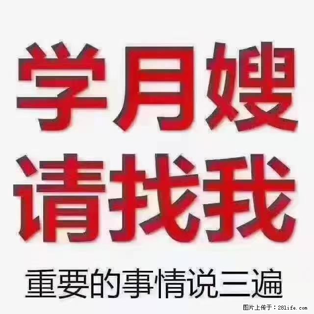 【招聘】月嫂，上海徐汇区 - 职场交流 - 淮安生活社区 - 淮安28生活网 ha.28life.net