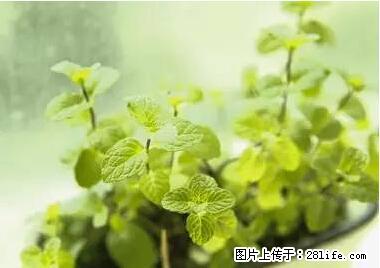 晕车、脚气、牙齿变黄、皮肤粗糙？学会这些三分钟搞定！ - 淮安生活资讯 - 淮安28生活网 ha.28life.net