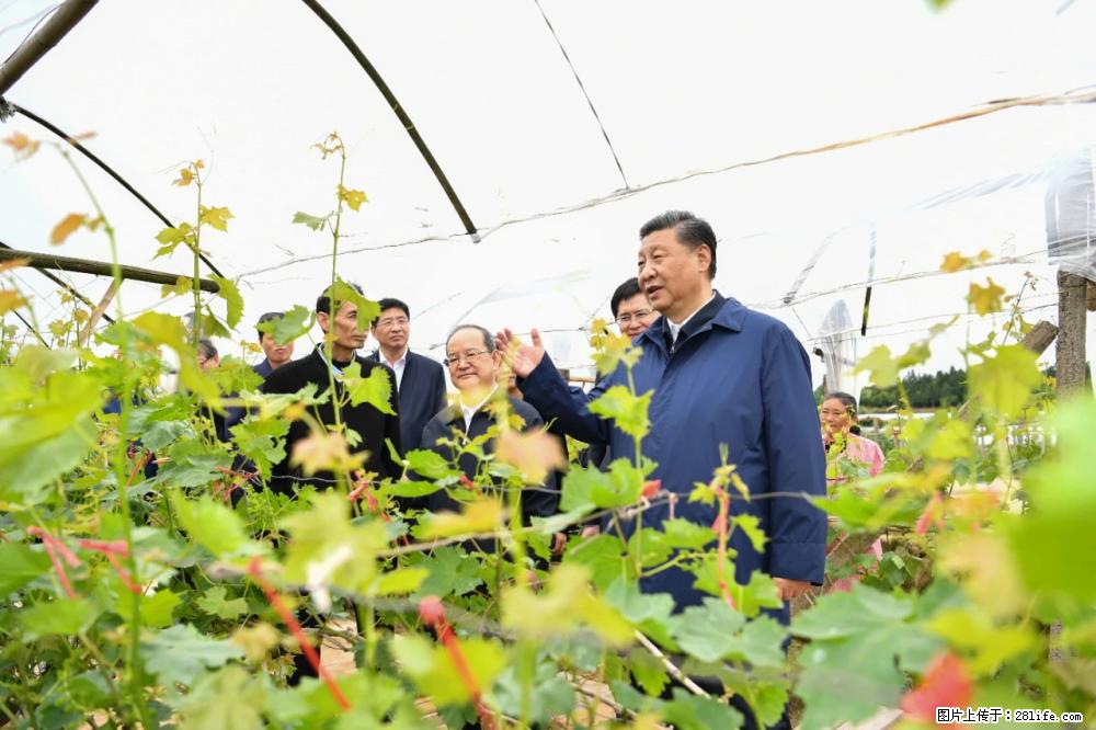 习近平赴广西考察调研 - 淮安生活资讯 - 淮安28生活网 ha.28life.net