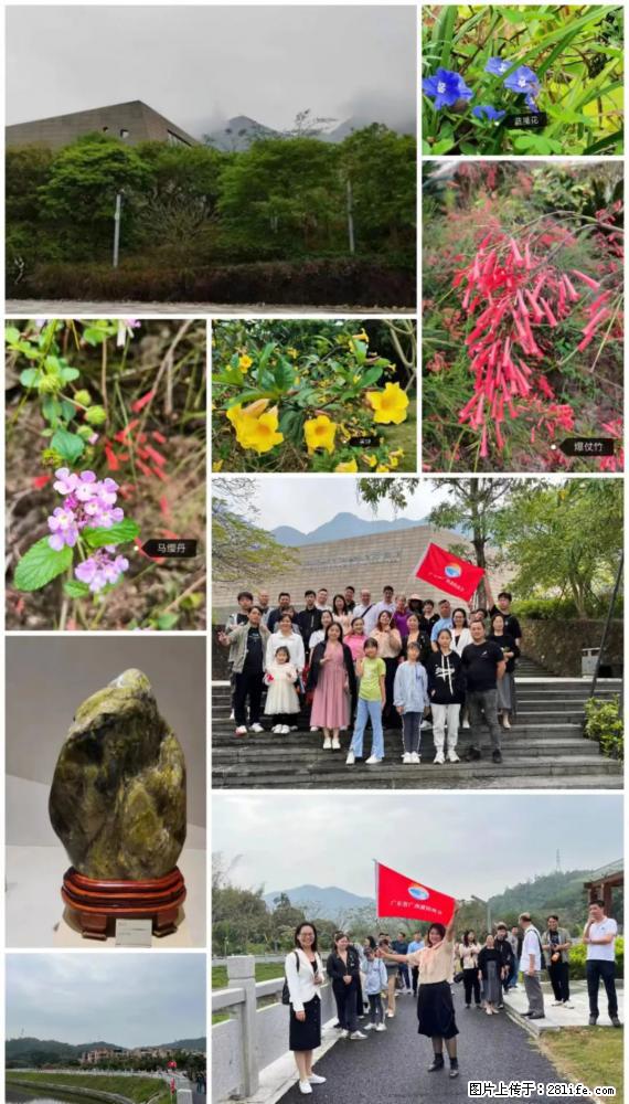 “粤灌文化 美好生活”油茶文化主题活动在广东深圳成功举办 - 淮安生活资讯 - 淮安28生活网 ha.28life.net