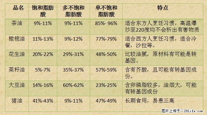 揭秘茶油的5大核心营养成分！被称为人体健康的“守护盾”！ - 淮安生活资讯 - 淮安28生活网 ha.28life.net