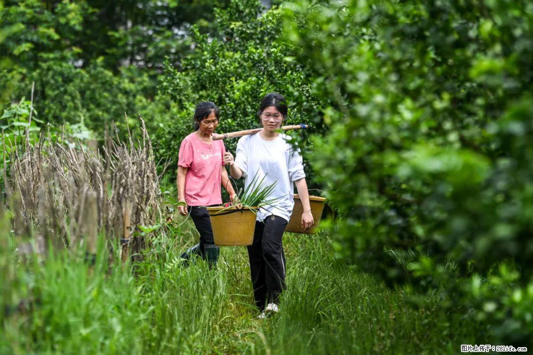 全网追的“扁担女孩”，找了一份暑假工，时薪12元 - 淮安生活资讯 - 淮安28生活网 ha.28life.net