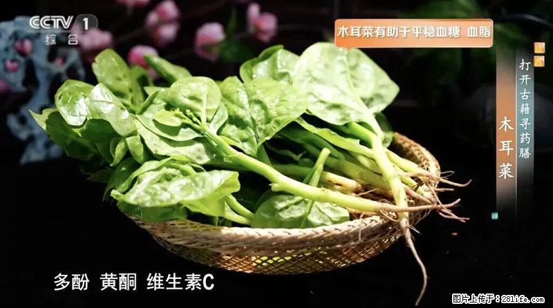 比牛奶补钙还厉害！凉血解毒、稳血糖...这菜冬天必吃，很多人却当草 - 淮安生活资讯 - 淮安28生活网 ha.28life.net